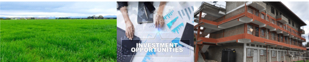 Investment Opportunities