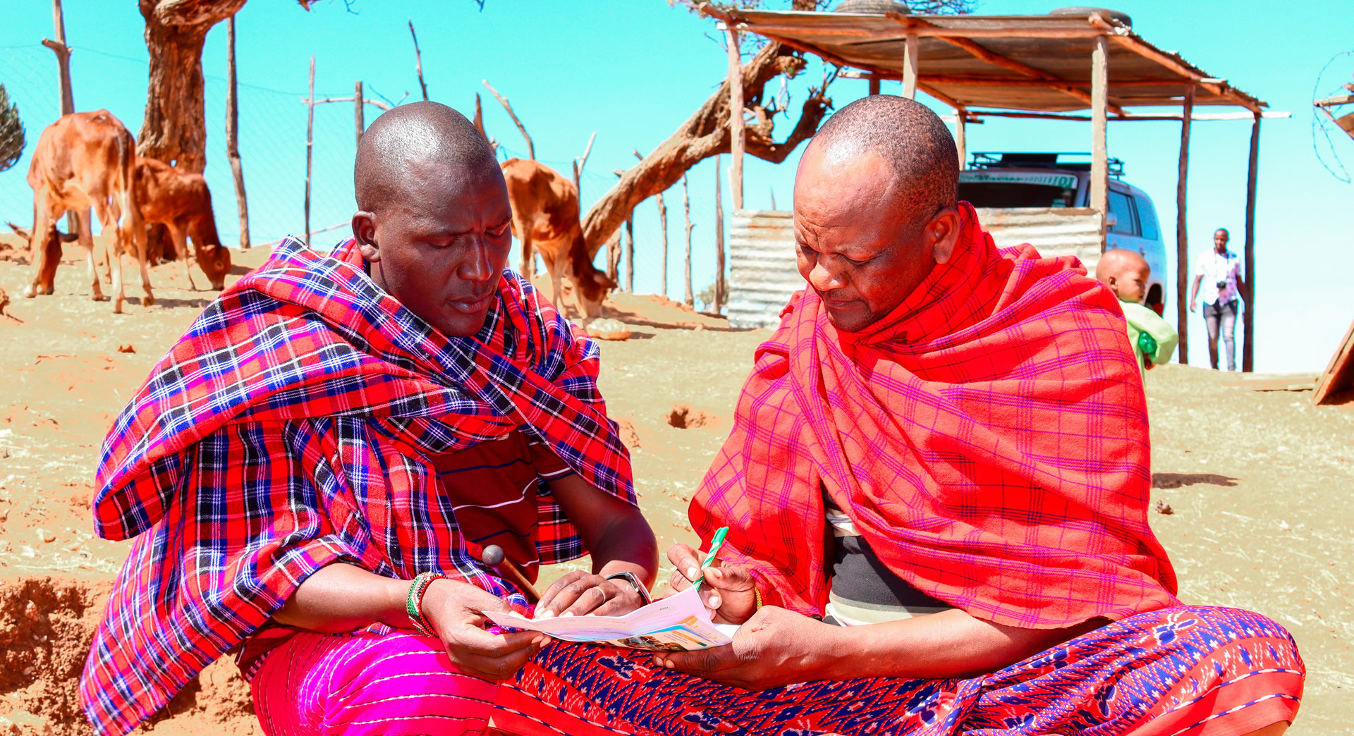 Livestock-and-farming-loans